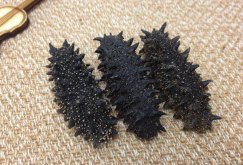 <strong>刺參的形態特點是什麼，有哪些藥用價值?</strong>