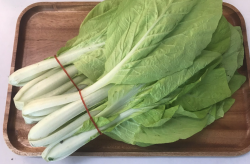 <strong>小白菜的種子發芽溫度應該控製在多少，有哪些注意事項？</strong>