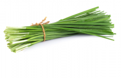 <strong>韭菜的花朵可以食用嗎，有哪些營養價值?</strong>