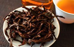 <b>鳳凰單樅是什麼茶葉，如何進行種植？</b>