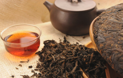 <b>普洱茶是如何種植的，對環境條件有什麼要求？</b>