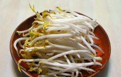 <strong>黃豆芽如何進行培育，需要準備什麼條件？</strong>