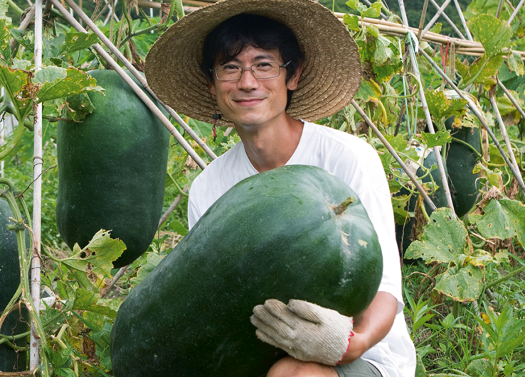冬瓜如何澆灌定根水和緩苗水，需要注意什麼?