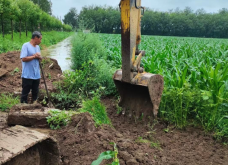 <strong>低窪地區種植玉米如何建設排水係統?</strong>