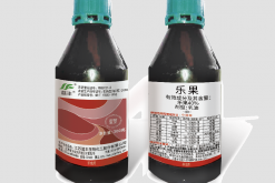 <strong>樂果可以用來消滅棉蚜嗎，需要注意什麼?</strong>