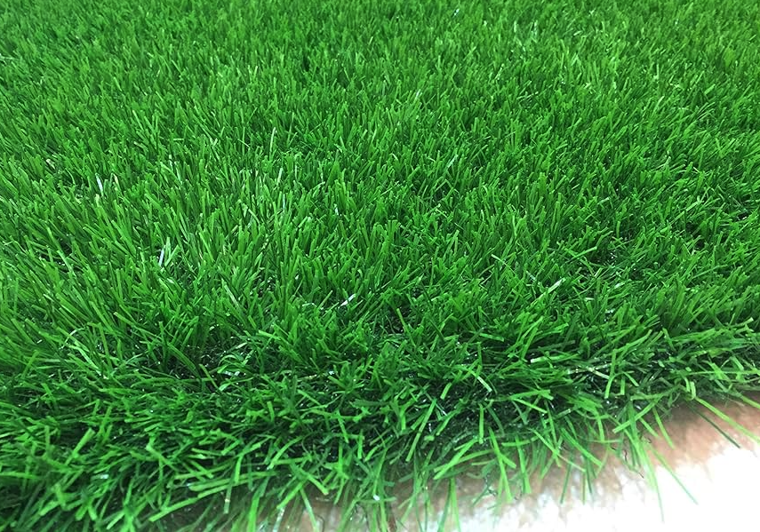 聚合草怎麼進行種植,需要注意什麼?