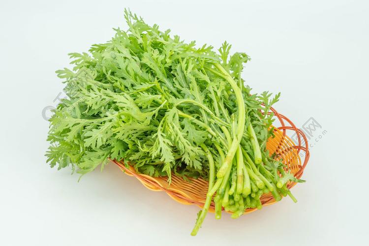 蒿菜種植時間與方法