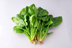 <b>冬菠菜畝產量一般能達到多少</b>