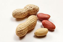<strong>花生用什麼肥料高產</strong>