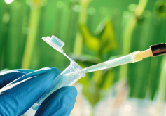 <strong>植物基因怎麼利用PCR法獲得基因?</strong>
