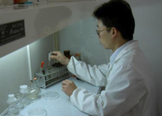 <strong>怎麼用複合酶用於原生質體分離?</strong>