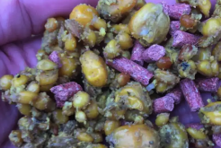 <b>菜籽餅粕的脫毒方法?</b>