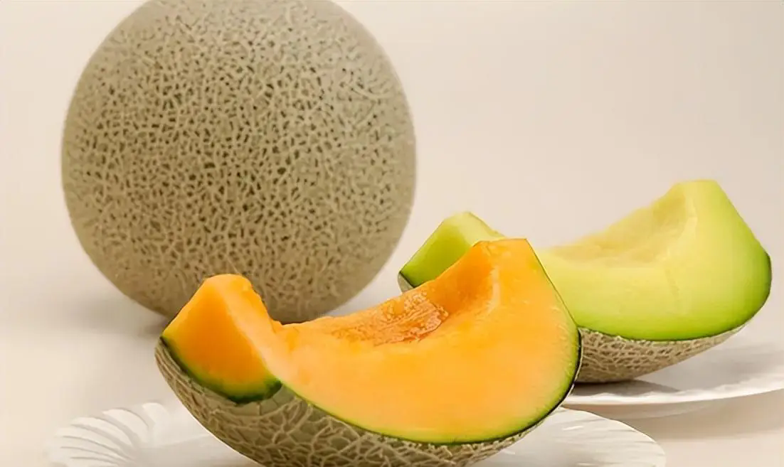 <b>哪些地區可以種植哈密瓜?哈密瓜的種植條件和種植地區介紹。</b>