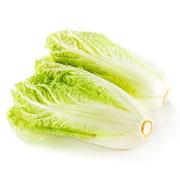 <b>娃娃菜和大白菜有什麼區別</b>