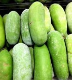 <strong>冬瓜怎麼種會變大？種的時候要注意什麼</strong>