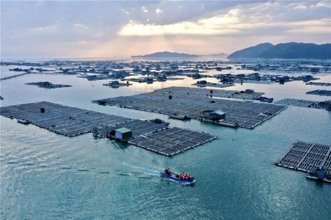 <strong>台風對水產養殖的危害及預防管理措施</strong>