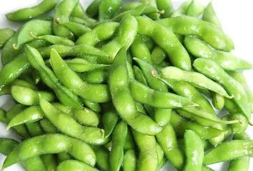 <b>豆界揭秘-毛豆VS黃豆：本是同根生的營養美食</b>