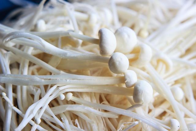 <b>金針菇：美味背後的科學真相，有毒傳言大起底！</b>