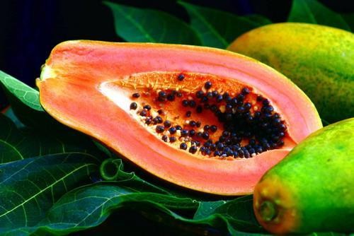 <b>揭秘番木瓜與木瓜：植物學特性、食用價值及市場應用全解析</b>