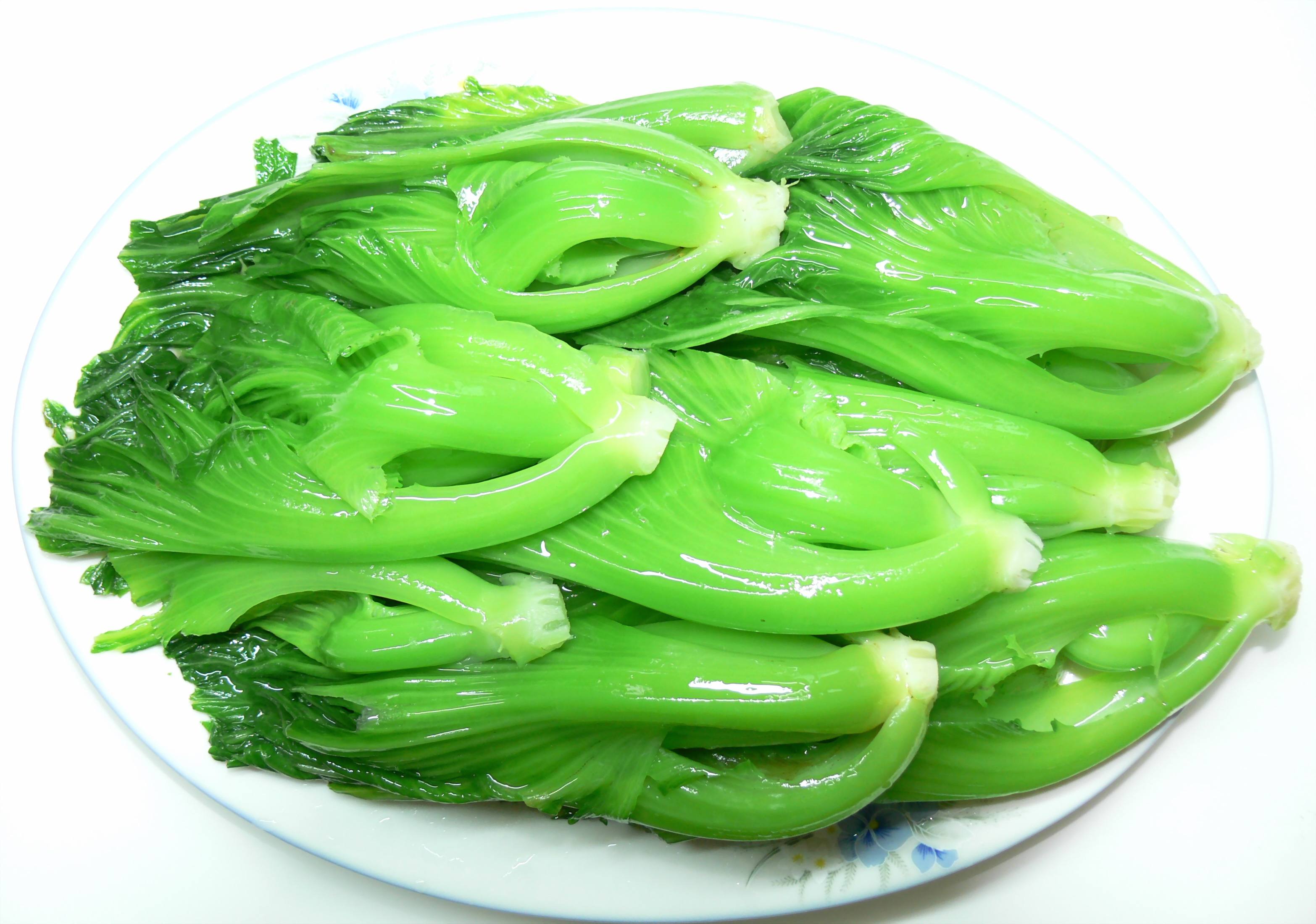 芥菜外觀樣子詳解:鋸齒邊緣的葉片,緊湊的生長結構!