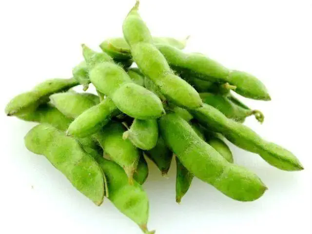 <b>毛豆嘌呤含量揭秘，營養價值大起底，植物蛋白與健康生活的完美契合！</b>