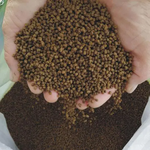 小龍蝦養殖大師課-小龍蝦飼料的科學管理方案，助力快速成長！