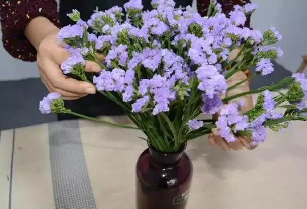 勿忘我鮮花放水中養護還是幹花保存的永恒，瓣瓣承載不變承諾靜默時光