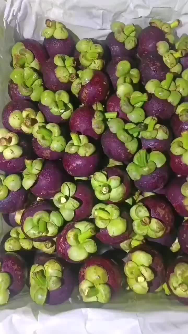 山竹種植產地一覽表:亞洲熱帶雨林的饋贈,追尋每一顆果實的成長足跡