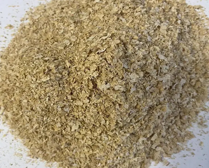 <b>顛覆傳統！高質量小麥飼料如何重塑肉雞養殖行業</b>