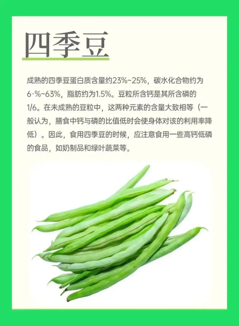 四季豆是一年四季都有的嗎?探索其全年供應的種植與市場機製