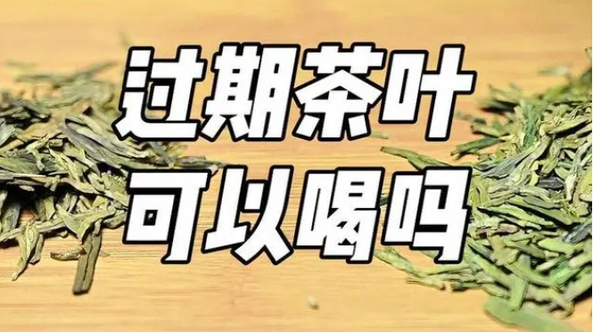 <b>茶葉過期了還能喝嗎？品質評估與安全考量，科學判斷飲用價值</b>