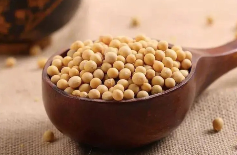 <b>大豆功效全解：營養成分、健康益處與食用指南，打造完美健康膳食</b>