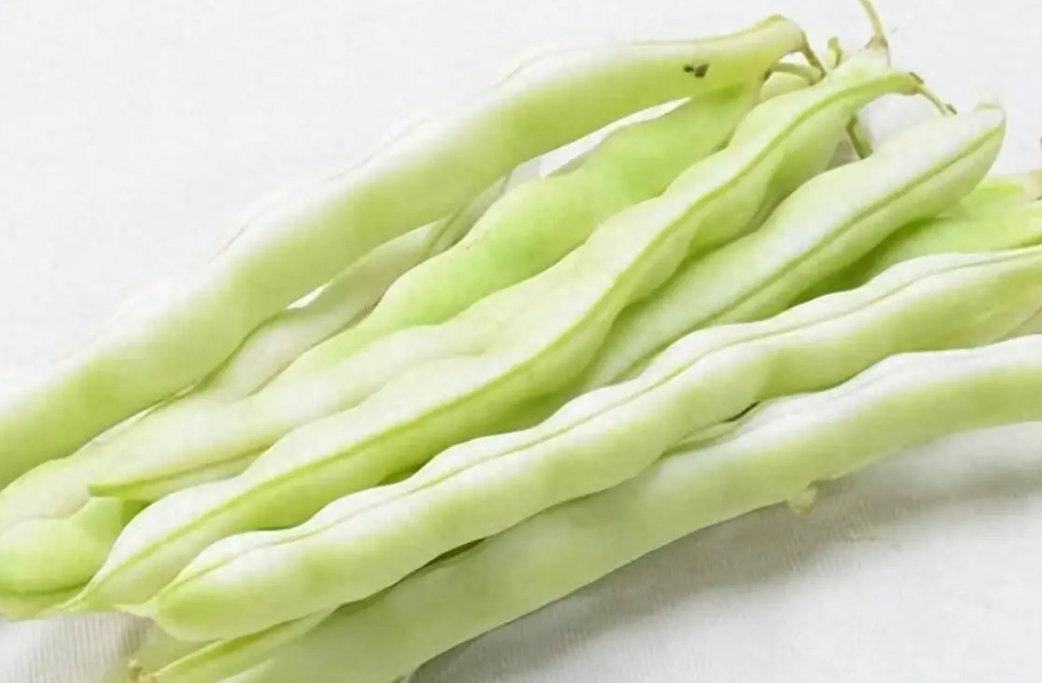 <b>芸豆不熟會中毒嗎？安全食用芸豆營養美味兩不誤</b>