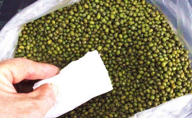 <b>綠豆夏日保存防蟲保鮮術，讓美味無憂輕鬆享清涼！</b>