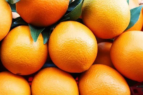 別再混淆臍橙和橙子:一場關於美味的較量,你站哪邊?