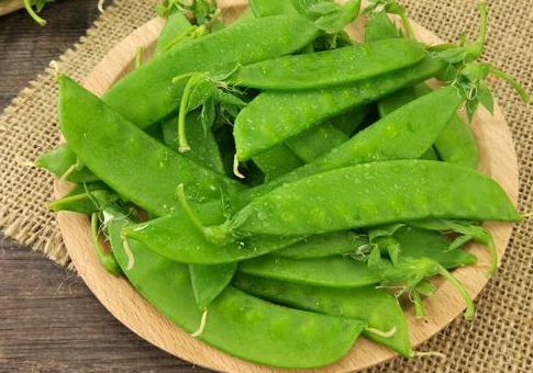 <b>荷蘭豆沒熟會中毒嗎？如何安全食用荷蘭豆，避免“豆”你玩</b>