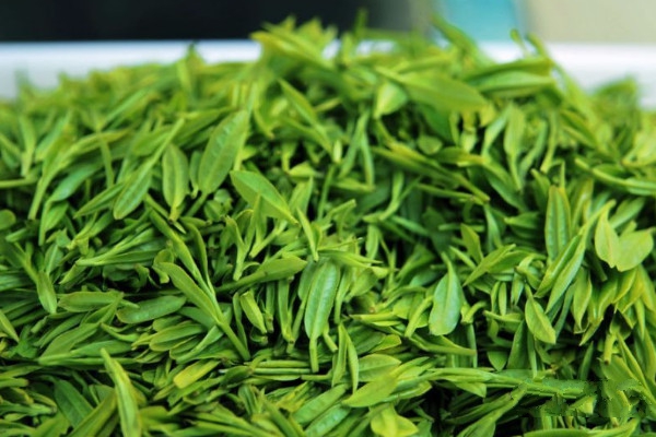 <b>茶葉的製作方法和詳細流程-茶葉從鮮葉到香茗的奇幻變身之旅</b>