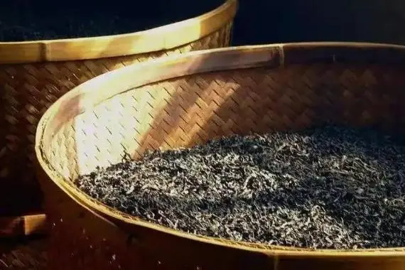茶葉怎麼保存比較好?茶香長久保鮮不散技巧。