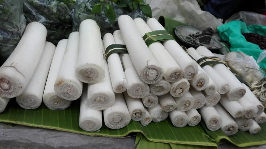 綠色美味誘惑！芭蕉心可以生吃嗎？