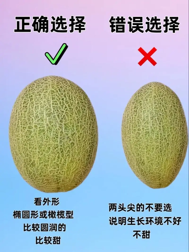 蜜瓜挑選秘籍,一眼識甜不靠運氣!
