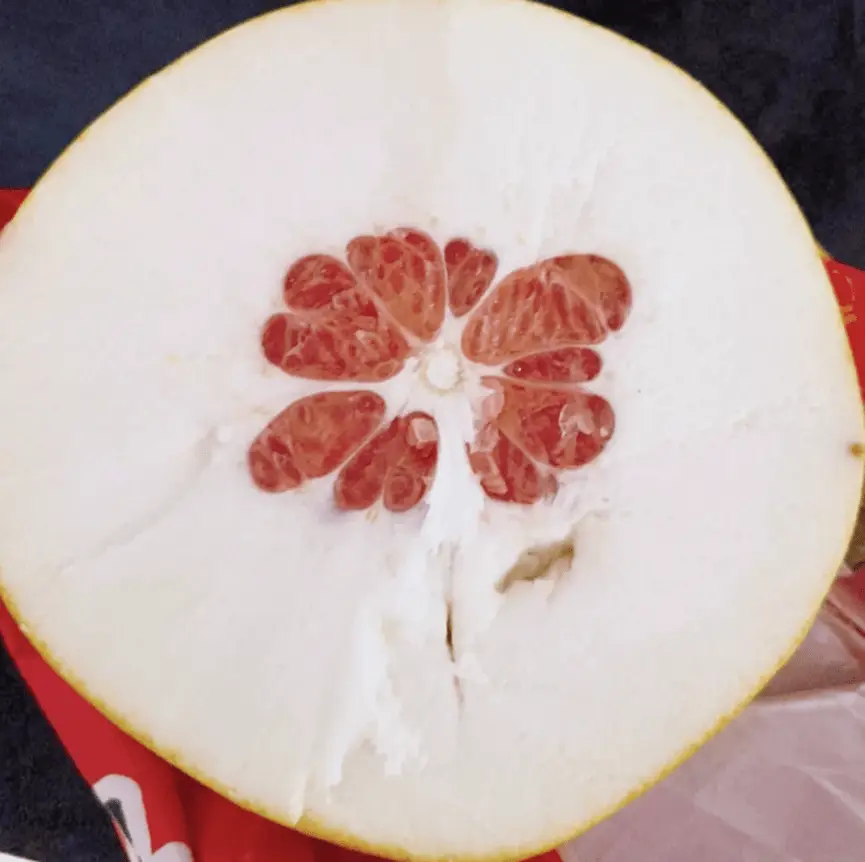 柚子皮為什麼那麼厚？自然選擇與生存智慧的結晶
