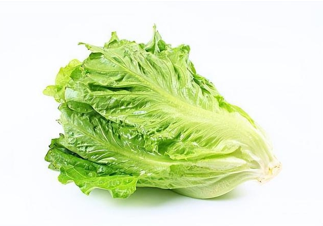 當前蔬菜價格上漲，2024年9月蔬菜價格還會繼續上漲嗎？