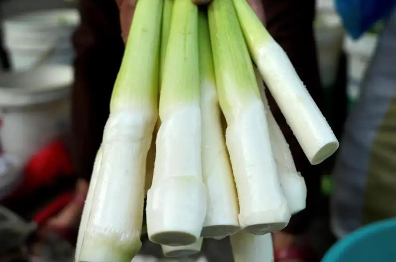 蔬菜界的“撞臉”事件-和蘆筍很像的蔬菜有哪些?