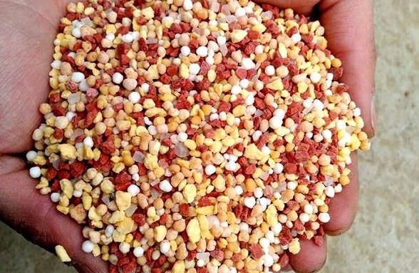 <b>摻混肥是什麼肥料，什麼時候施用效果好</b>
